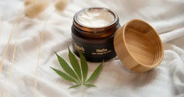 Soin Visage Bio CBD – Hatha – Yogah ?✨